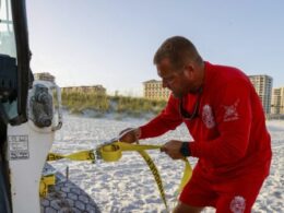 Same storm, different names: How Invest 97L could graduate to Hurricane Debby