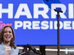 The DNC chair said Harris has a delegate majority. This is how its virtual roll call process works
