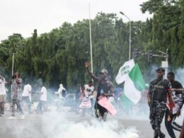 Nigerian police say they arrested hundreds in recent protests