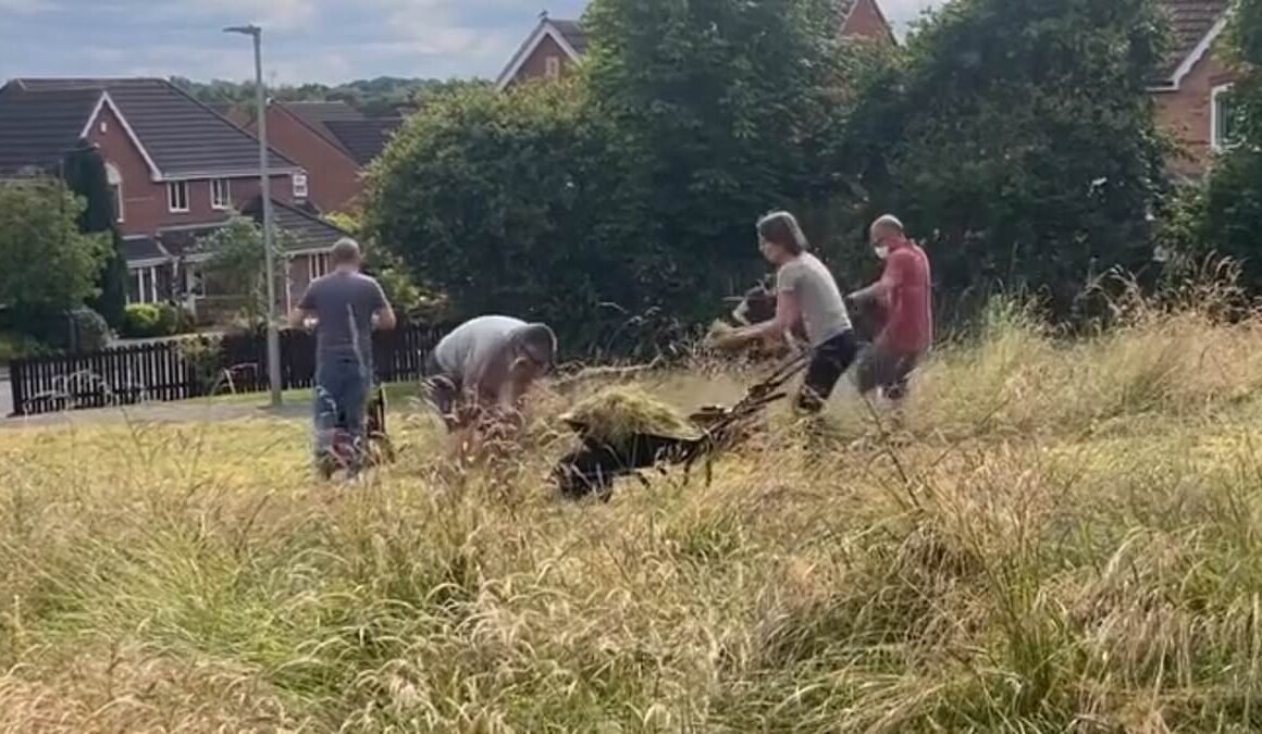 Our council’s woke rewilding’ scheme is a nightmare… overgrown grass is bringing rats and ticks and there is dog poo everywhere