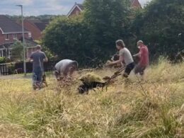 Our council’s woke rewilding’ scheme is a nightmare… overgrown grass is bringing rats and ticks and there is dog poo everywhere