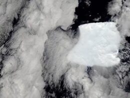 The iceberg ‘that refuses to die’: Frozen block twice the size of Greater London is stuck spinning on the spot near Antarctica in rare phenomenon