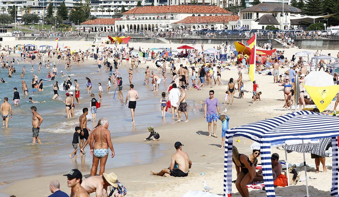 Bondi: Four men charged in drug blitz in Sydney beachside suburb