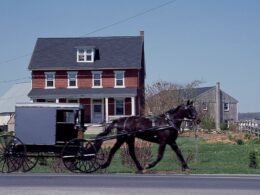 Why some Amish would rather go to jail than make simple update to a tradition that has been blamed for killing dozens
