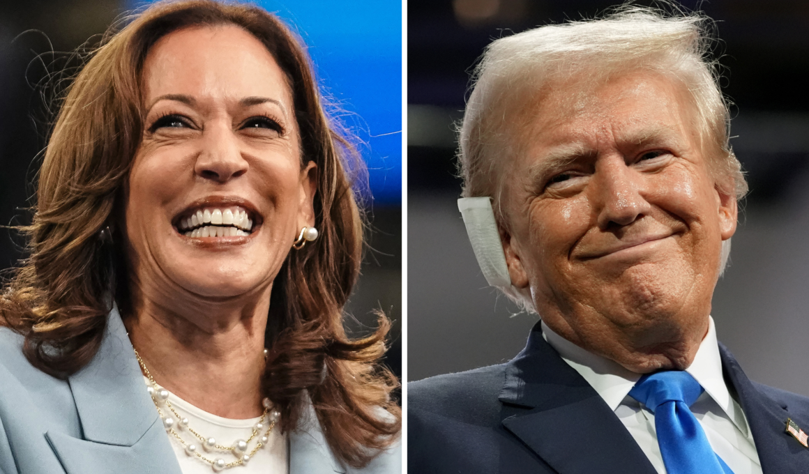 Kamala Harris Only Leads Donald Trump in One Battleground State: Poll