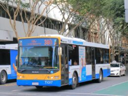 Public transport fares are slashed to 50c for millions of Queenslanders