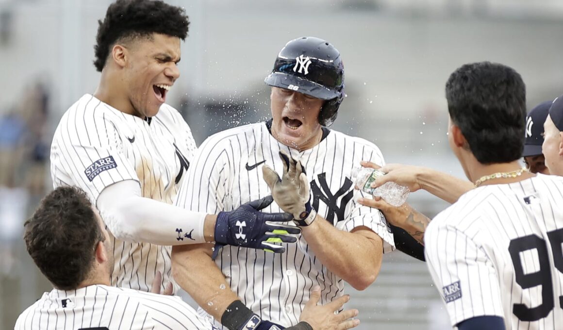 DJ knocks one through 5-man infield as Yanks walk off Blue JaysDJ knocks one through 5-man infield as Yanks walk off Blue Jays