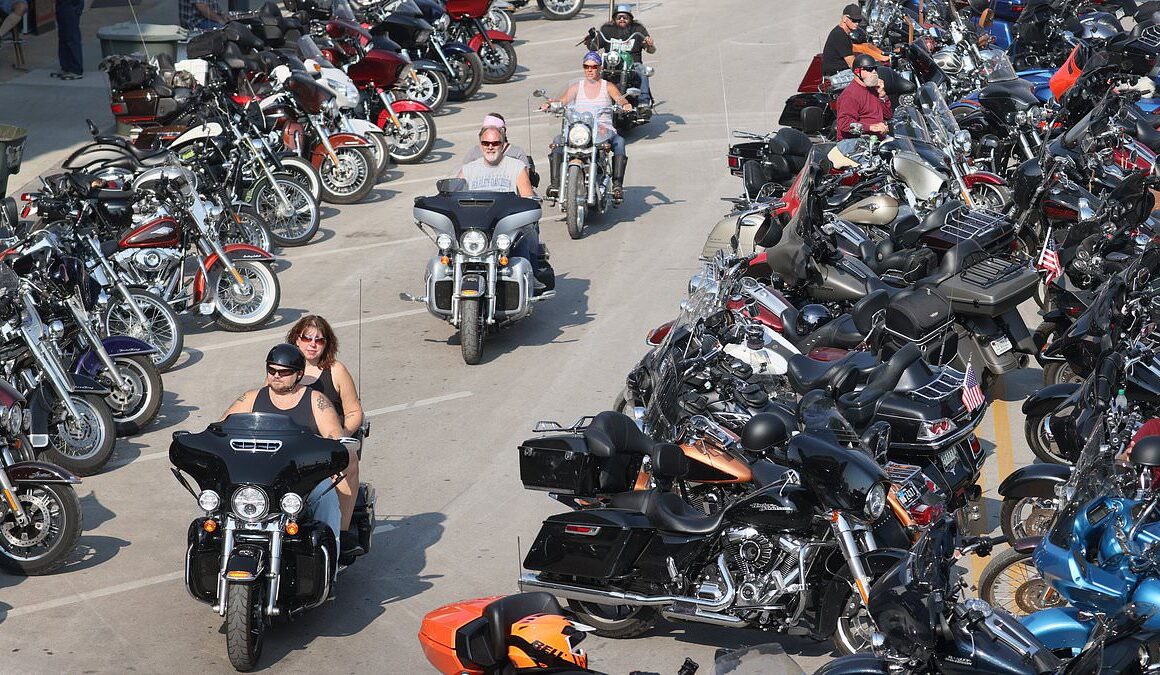 Furious bikers turn on Harley Davidson boss for ‘going woke’ after he publicly promoted DEI programs, LGBT policies and climate change issues