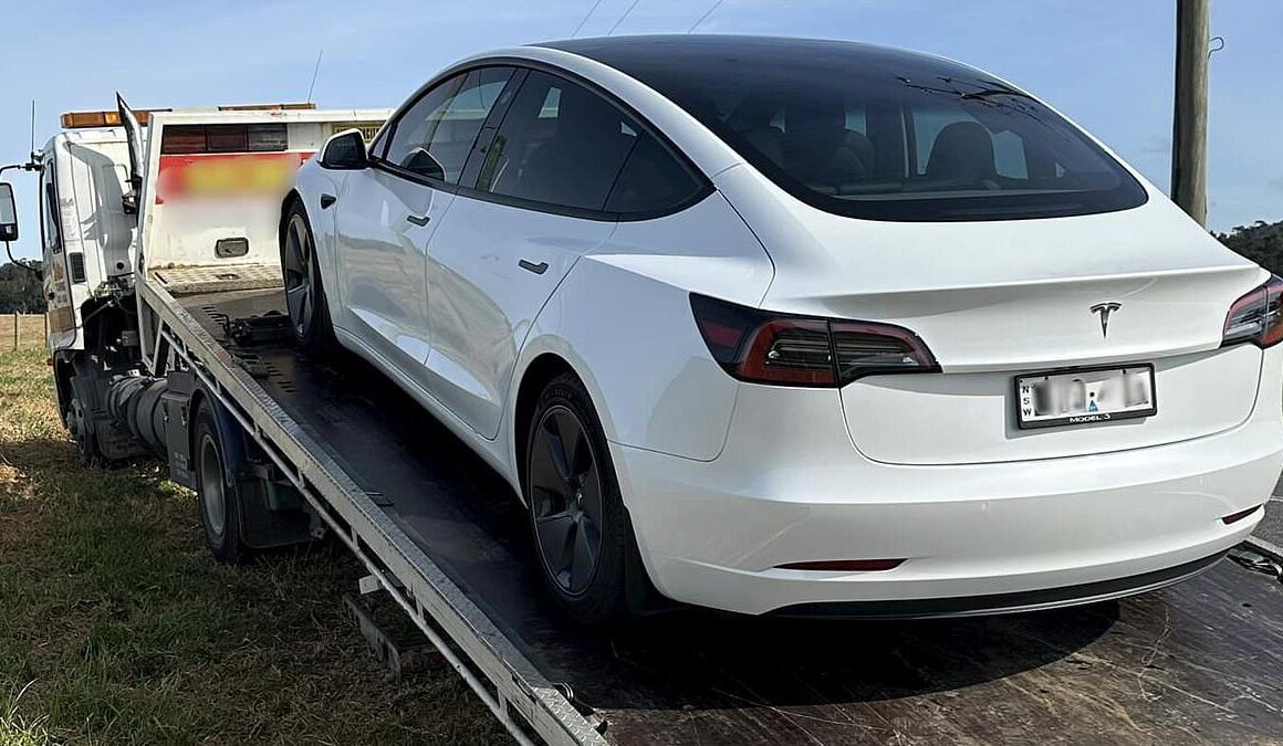 Tesla Model 3 driver exposes major issue with car