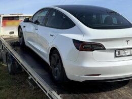 Tesla Model 3 driver exposes major issue with car