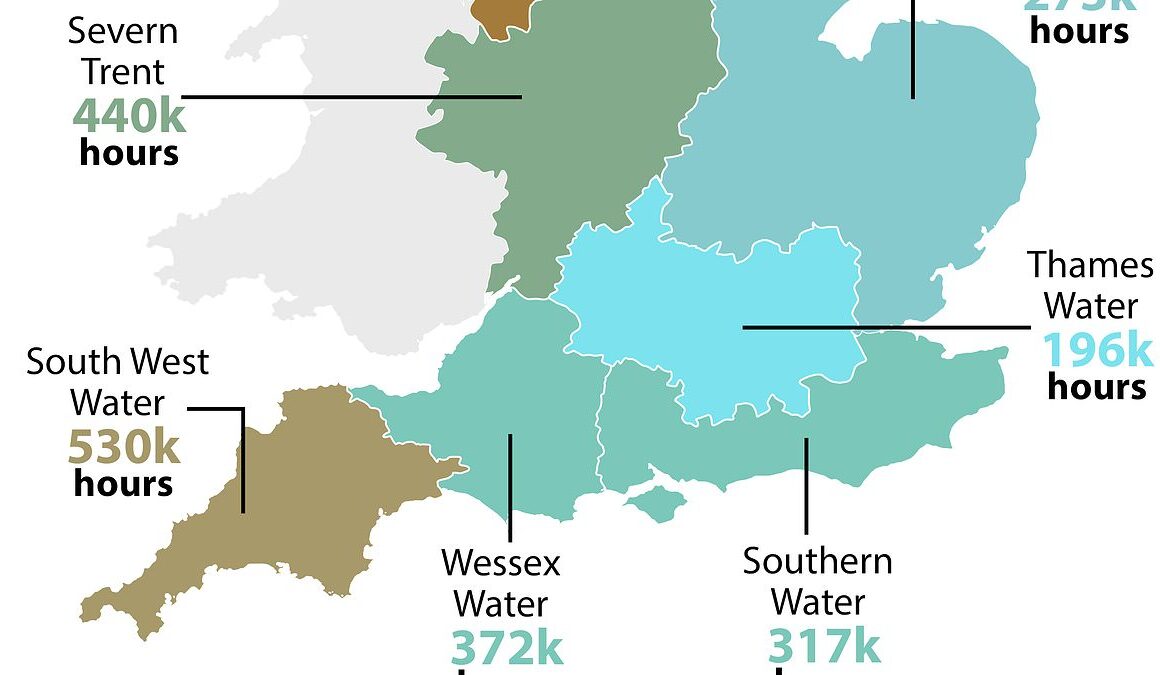 Revealed: Where families are too scared to swim in the sea this summer – as dog owners say they won’t take their pets for a dip due to ‘scandalous’ sewage spills