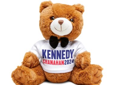 RFK Jr Selling Teddy Bear Merchandise After Dead Bear Admission