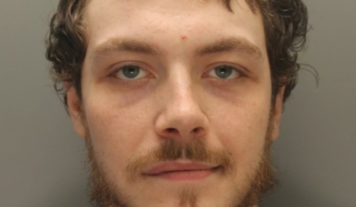 Tears of ‘rioters’ as they are hauled before court: Sobbing ‘thug’ denies threatening woman, protester who pushed wheelie bin at cops says she has ‘mental health issues’ – and burglar says ‘nice one lads’ as he’s taken to cells
