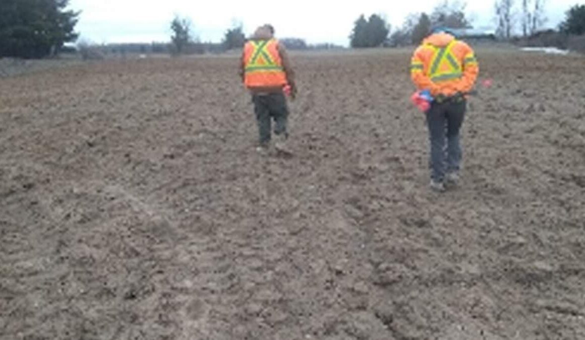 Farmer is forced to pay $400,000 in archaeological fees to build home on his own field