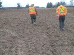 Farmer is forced to pay $400,000 in archaeological fees to build home on his own field