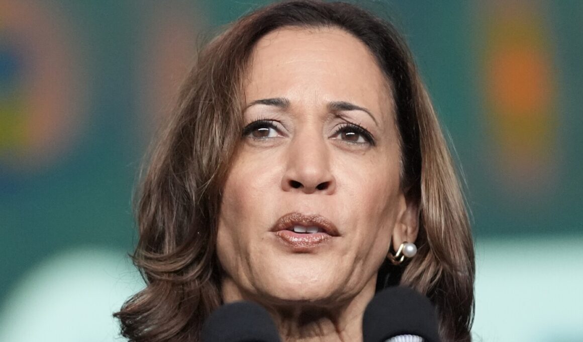 Election 2024 live updates: Harris, facing a crucial week, closes in on running mate pick