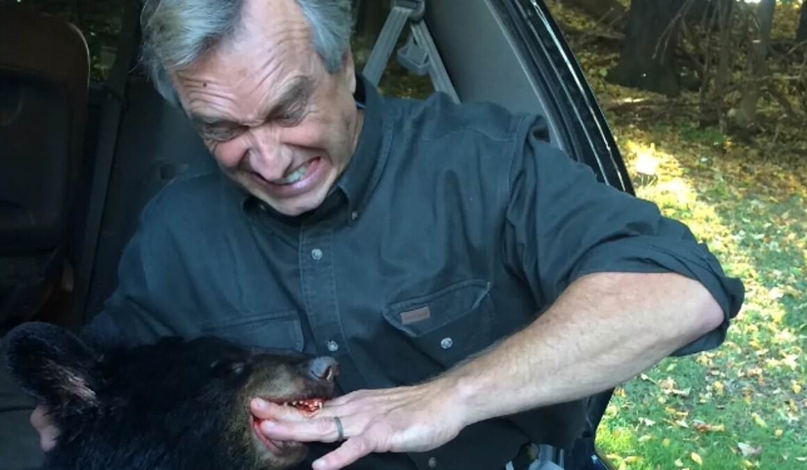 Robert F. Kennedy Jr. poses with his hand in dead bear’s mouth before dumping it in Central Park… as link to reporter who broke the bizarre story emerges