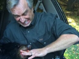 Robert F. Kennedy Jr. poses with his hand in dead bear’s mouth before dumping it in Central Park… as link to reporter who broke the bizarre story emerges