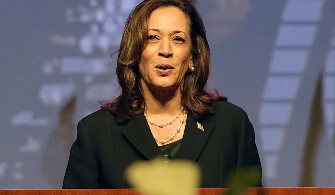 EXCLUSIVEThe night Kamala Harris met Sharon Stone’s ex husband Phil Bronstein in a back-room San Francisco bar – and what happened after that