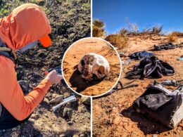 Missing Migrants: Skeletal Remains Scattered Across Desert Show Scale of Crisis