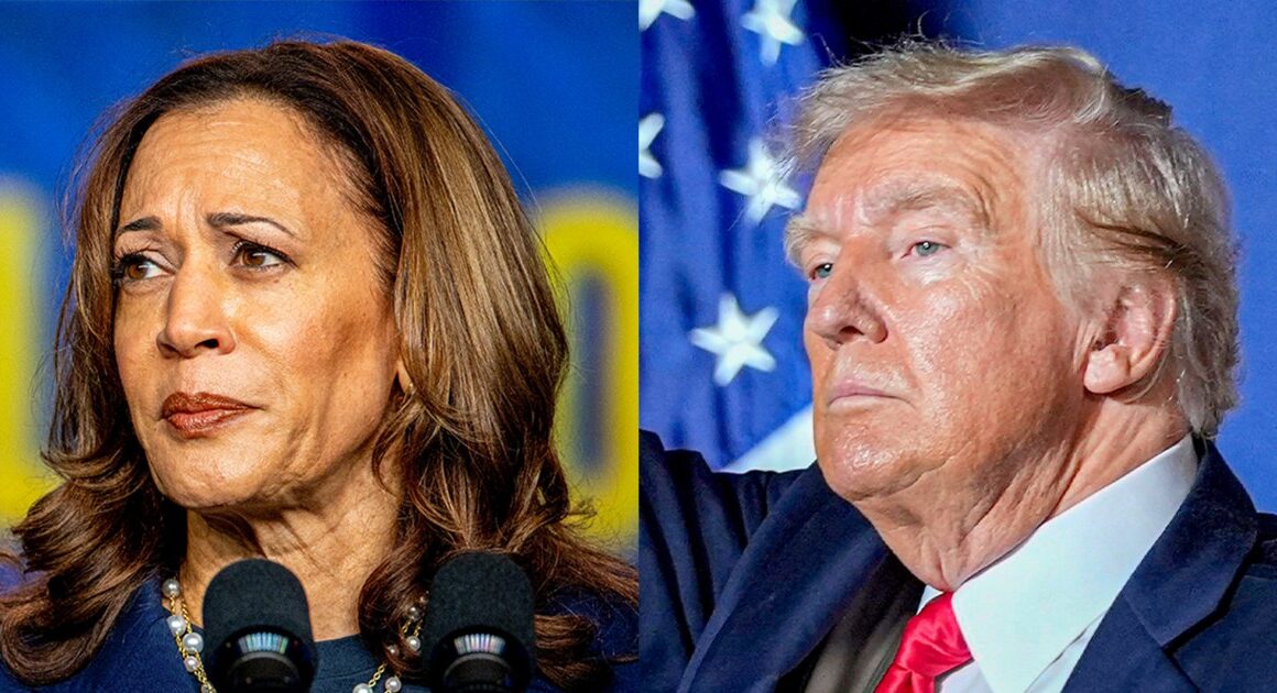 Mixed-race voters say Donald Trump’s attacks on Kamala Harris’ race are painfully familiar