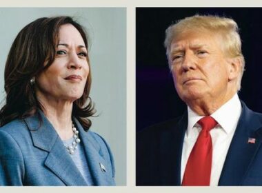 The Trump–Harris 2024 Presidential Election Matchup Is Now Official