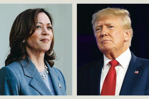 The Trump–Harris 2024 Presidential Election Matchup Is Now Official