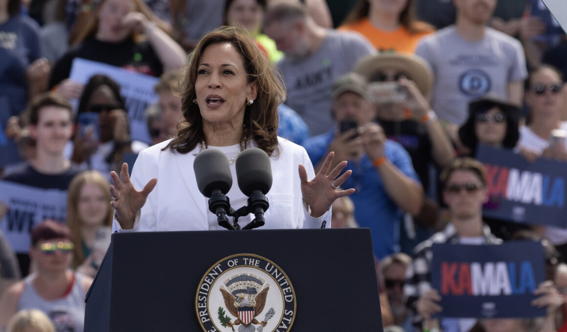 Kamala Harris Takes New Lead as Likely 2024 Winner, Poll Shows