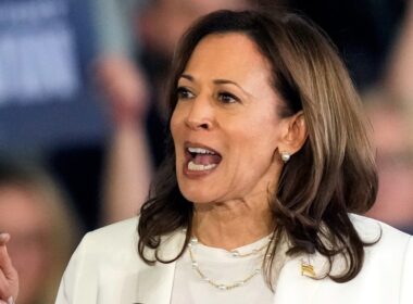 ‘I am speaking now’: Harris rally in Michigan interrupted by pro-Palestinian protesters