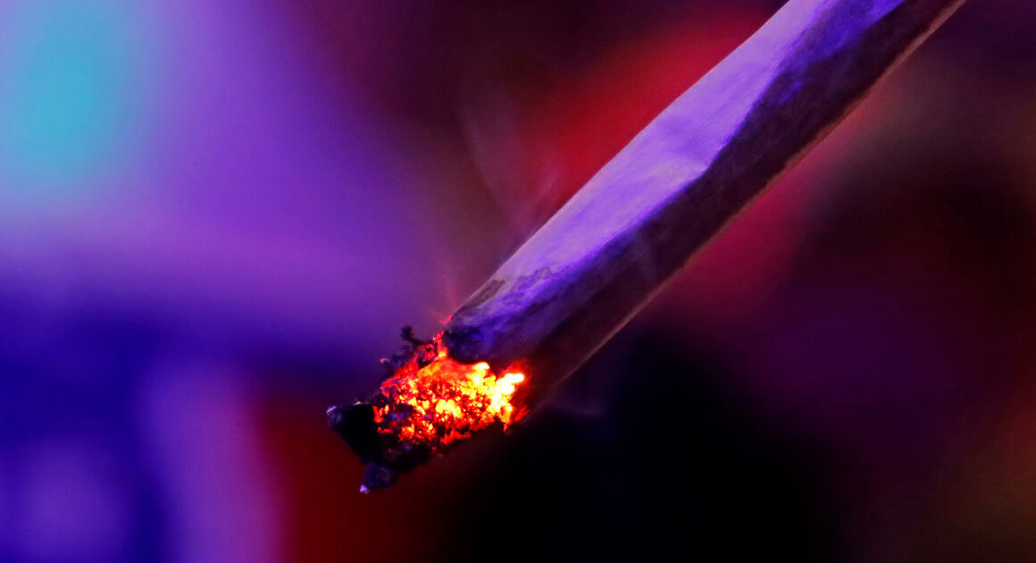 Heavy cannabis use may increase risk of certain cancers, new study finds