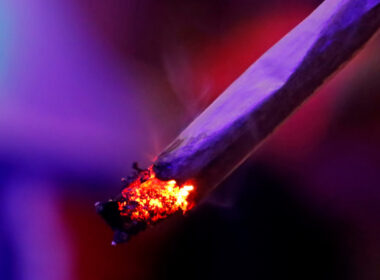 Heavy cannabis use may increase risk of certain cancers, new study finds