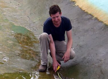 Crocodile expert is jailed for sexually abusing dozens of dogs