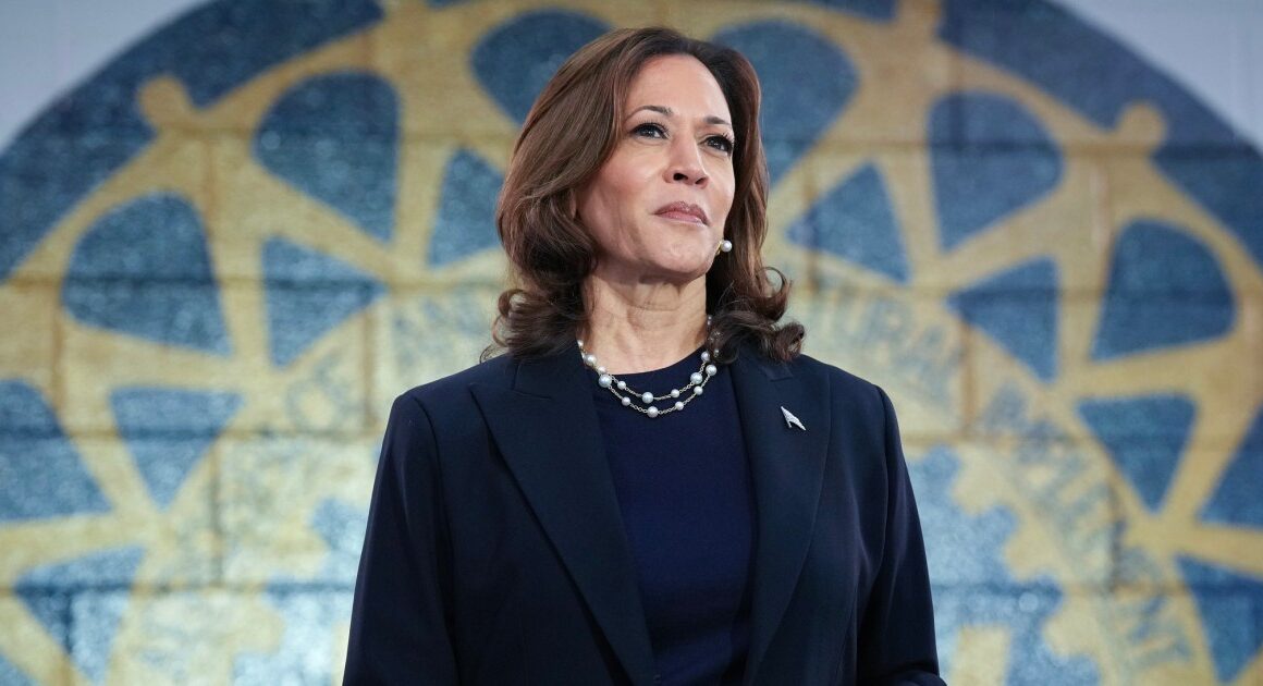 Hackers rally behind Kamala Harris’ presidential campaign