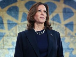 Hackers rally behind Kamala Harris’ presidential campaign