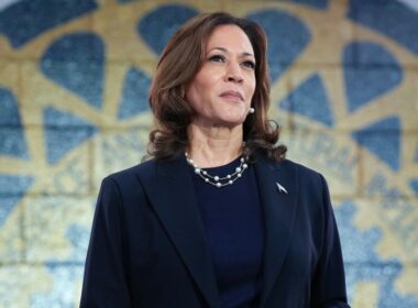 Hackers rally behind Kamala Harris’ presidential campaign