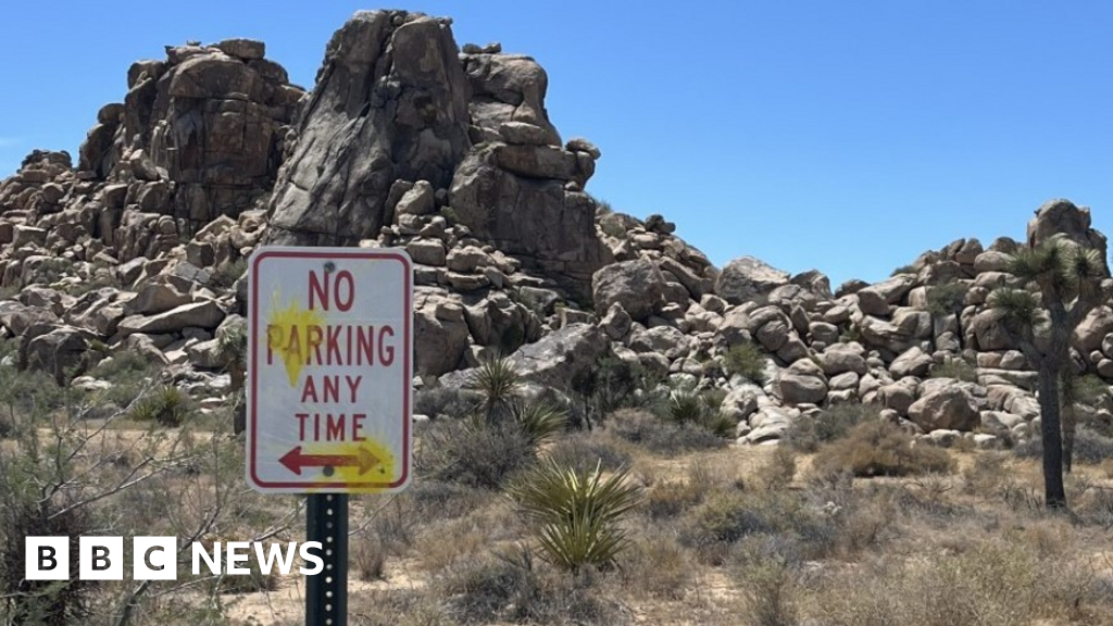 German tourists accused of defacing US national park with paintballs