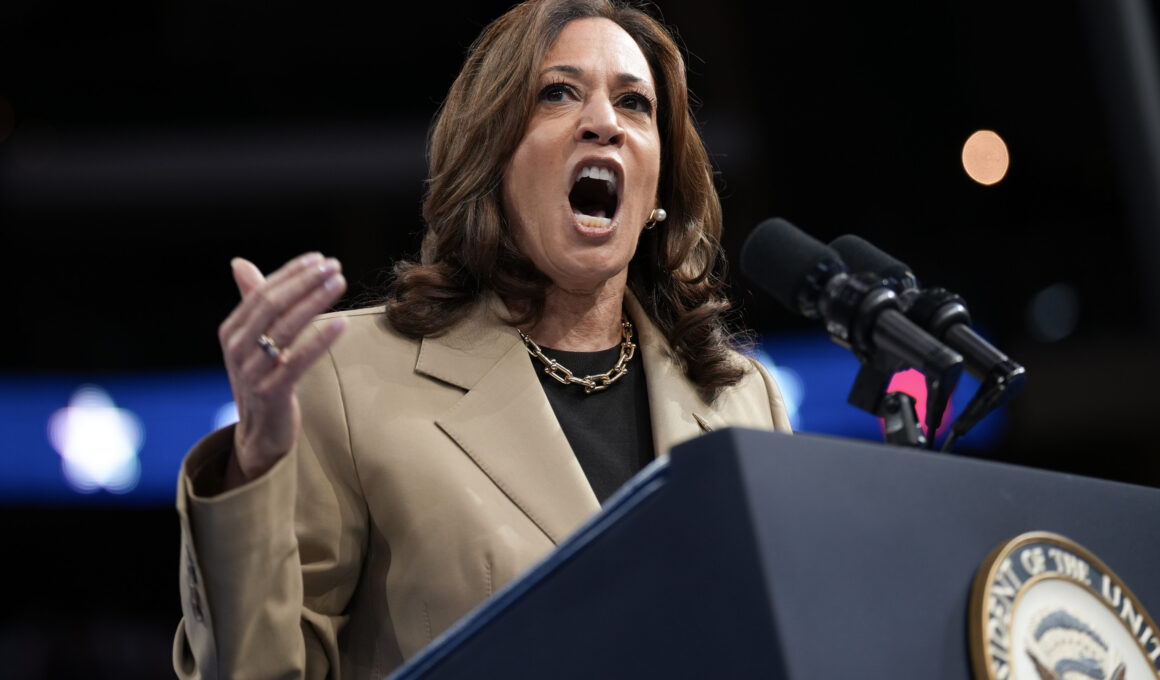 Kamala Harris Pauses Arizona Rally to Talk to Hecklers