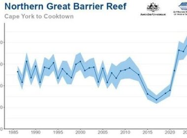 Climate Fear-Mongering Fail: Great Barrier Reef Sees Third Record Year Of Coral Growth