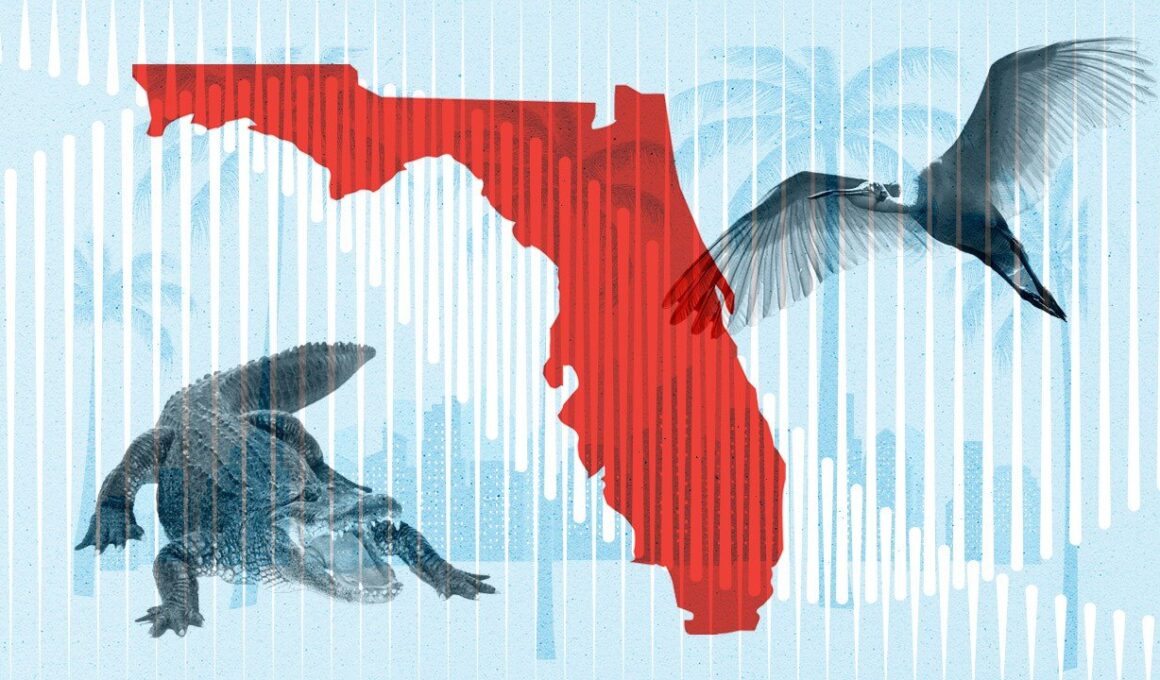 Florida’s Real Estate Market Has a Split Personality: What To Know If You’re Buying or Selling in the Sunshine State