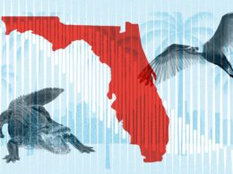 Florida’s Real Estate Market Has a Split Personality: What To Know If You’re Buying or Selling in the Sunshine State