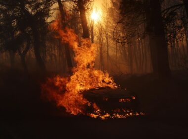 Wildfire Prompts Evacuations Near Athens After Greece Sees Hottest 2 Months On Record