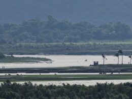 Hundreds of fleeing Rohingya reportedly killed in drone strikes as fears mount of ethnic cleansing in Myanmar