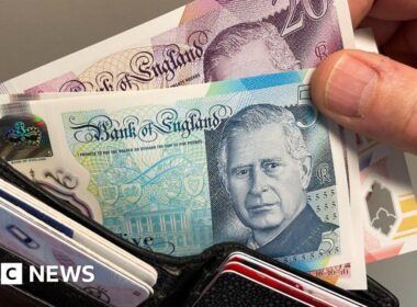 King Charles banknotes go for 11 times face value