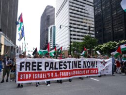 Democratic National Convention Protests for Palestine: Everything We Know