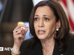 Trump attacks Harris over US border policing – was it her job?