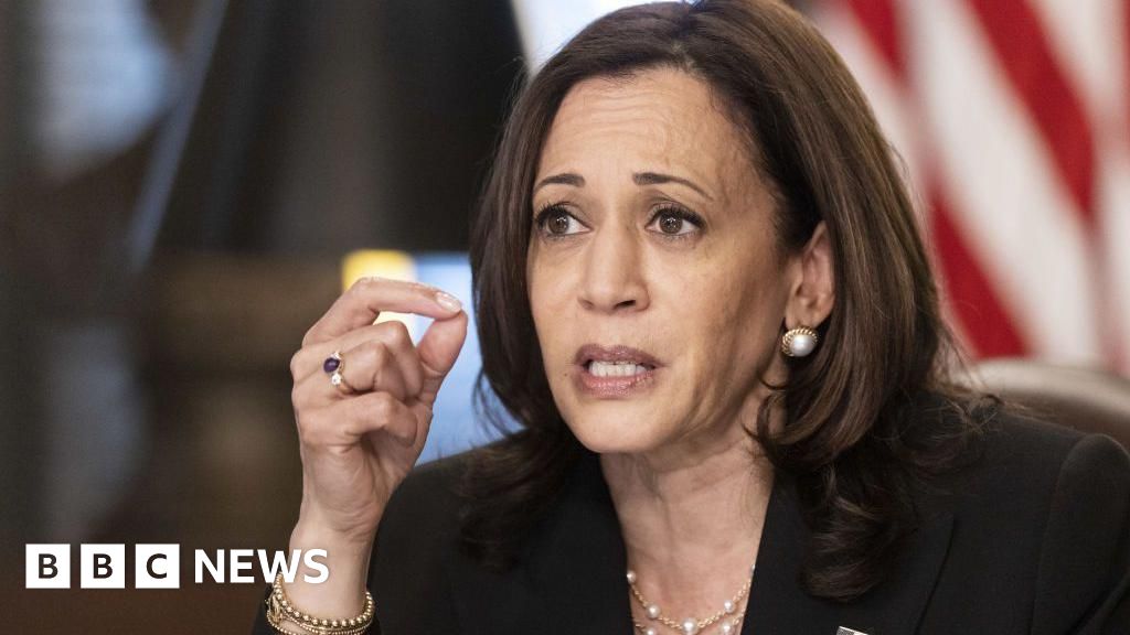 Trump attacks Harris over US border policing – was it her job?