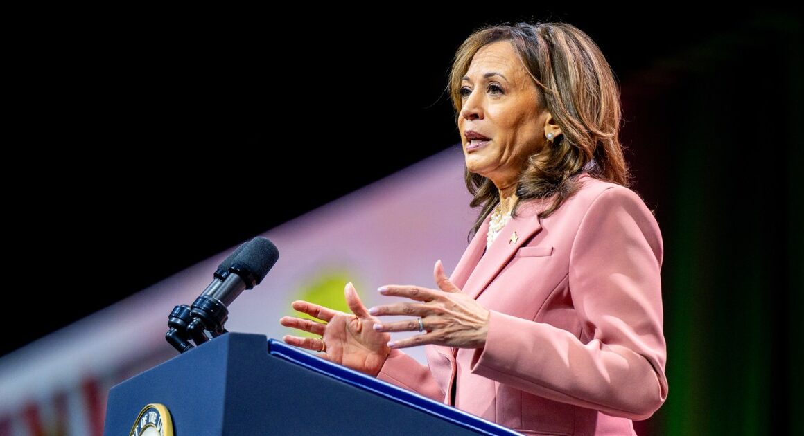 Harris holds access to an untapped voting bloc: The Divine Nine