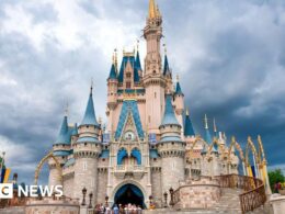 Disney+ terms prevent allergy death lawsuit, Disney says