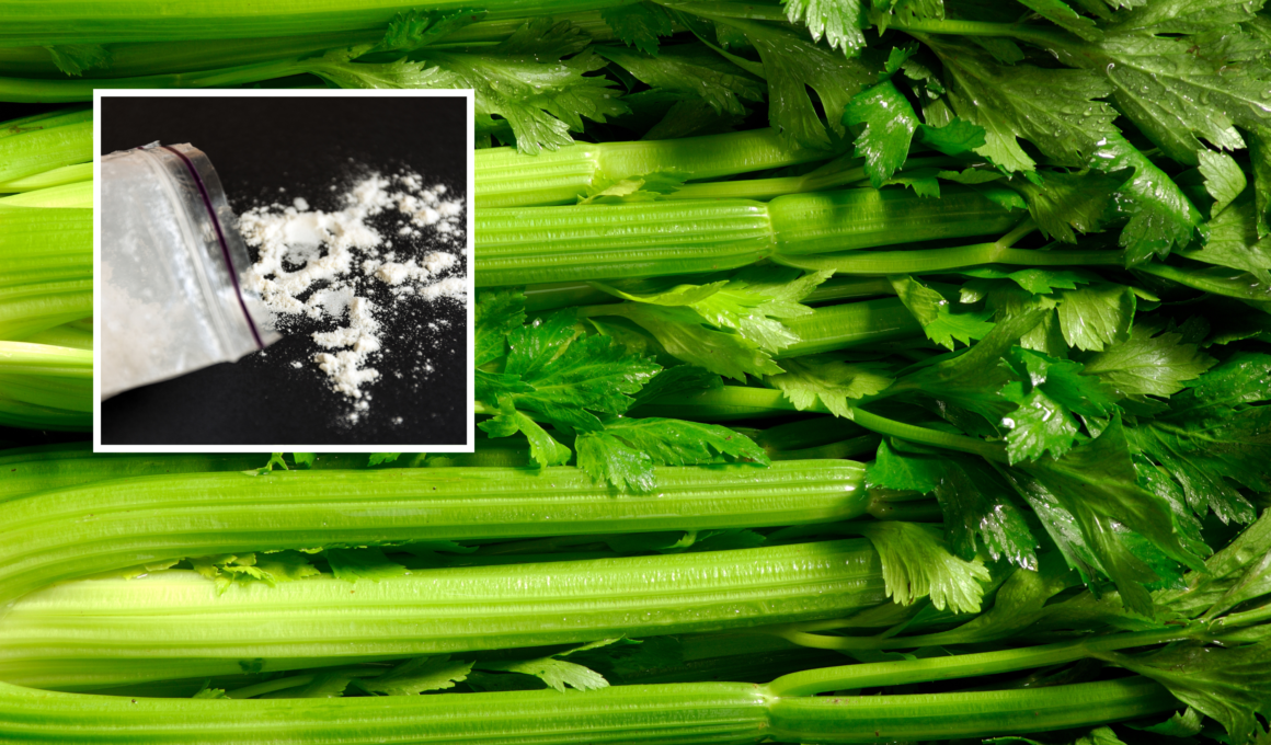 DEA Seizes More Than 2,300 Pounds of Meth Hidden in Celery