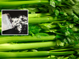 DEA Seizes More Than 2,300 Pounds of Meth Hidden in Celery